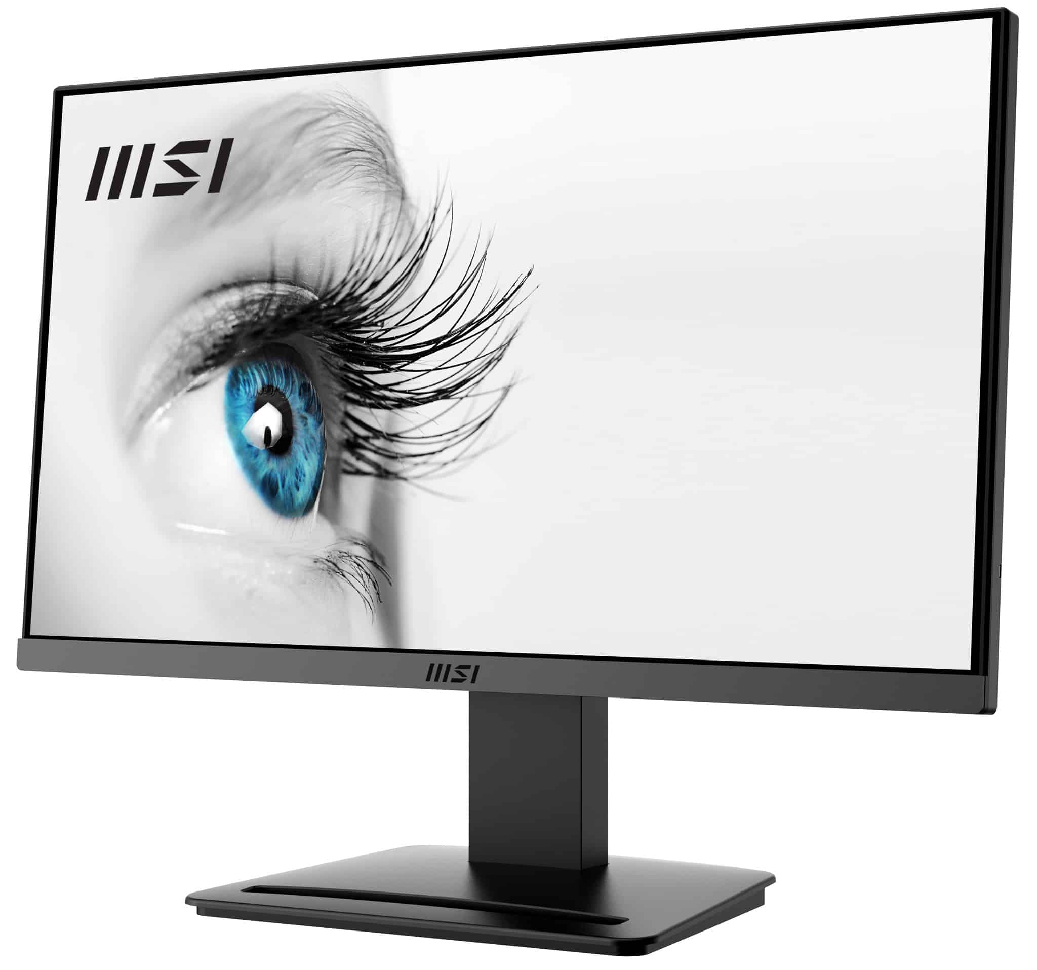 Écran MSI FUL HD PRO 21.5" (MP223-E2)