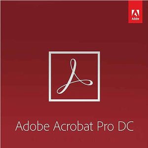 Acrobat Pro DC for Teams Multiple Platforms Multi 1 an Niveau 2 10 - 49 places