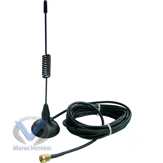 Antenne à long 2.5 m pour carte GSM