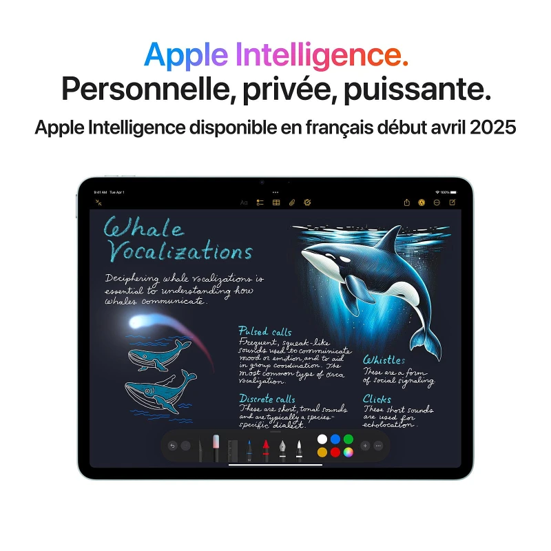 Apple iPad Air 13" M3 Wi-Fi 256 Go Bleu (MCNP4QA/A) – Image 3