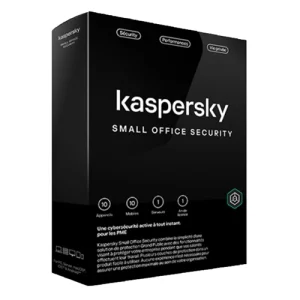 Kaspersky Small Office Security 10 Postes / 1 Serveur (KL45418BKFS-23MAG)
