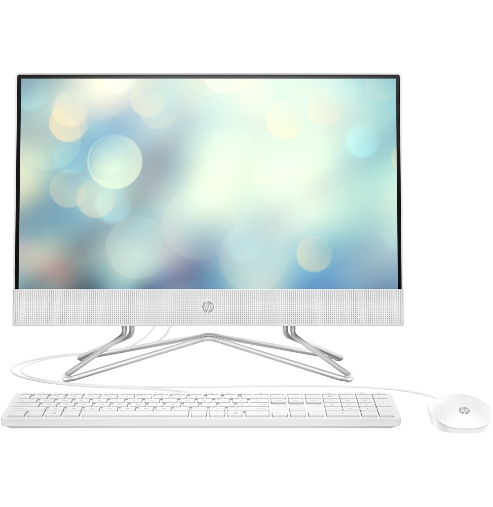 Ordinateur tout-en-un HP 22-dd1001nk (601V1EA)