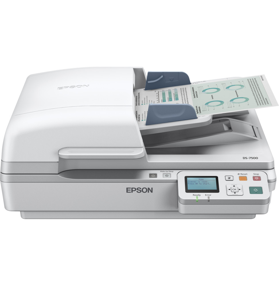 Scanner Epson Workforce DS-6500N (B11B205231BT)