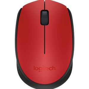 Souris sans fil Logitech M171 (910-004641)